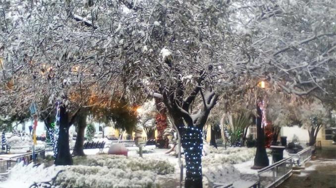 Abrígate... esta noche nevará en Zacatecas, SLP y la CDMX. Noticias en tiempo real