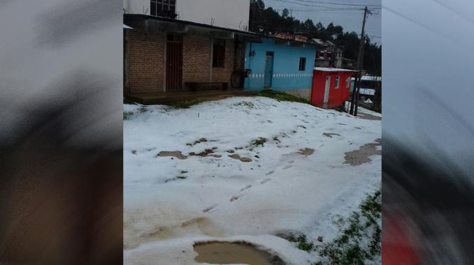 En emergencia, 52 municipios de Oaxaca por heladas. Noticias en tiempo real
