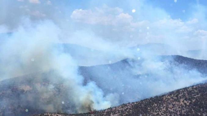 Alertan de posibles incendios forestales… por onda de calor. Noticias en tiempo real